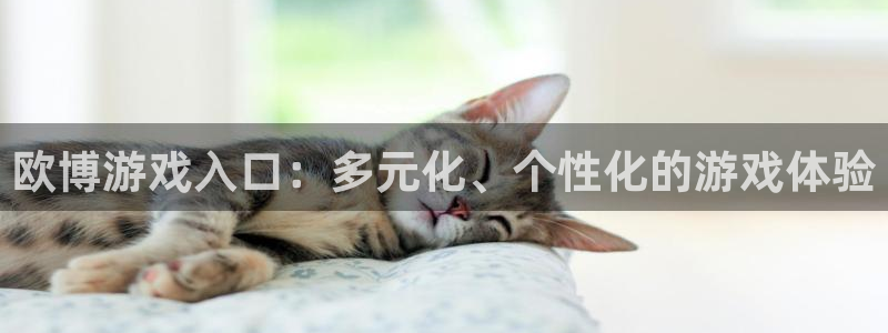 壹号app下载苹果：欧博游戏入口：多元化、个性化的游戏体验