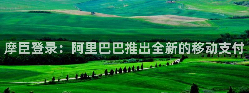 壹号下载官网入口：摩臣登录：阿里巴巴推出全新的移动支付