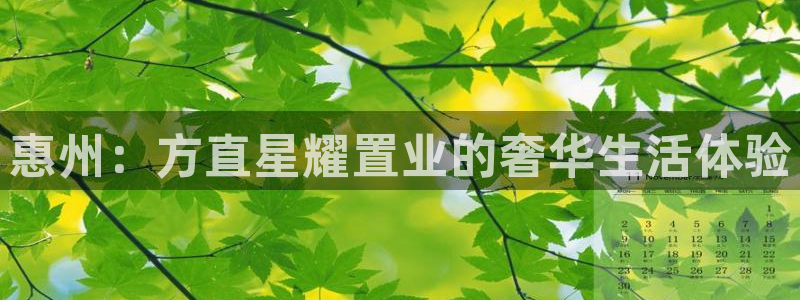 星耀国际下载二维码：惠州：方直星耀置业的奢华生活体验