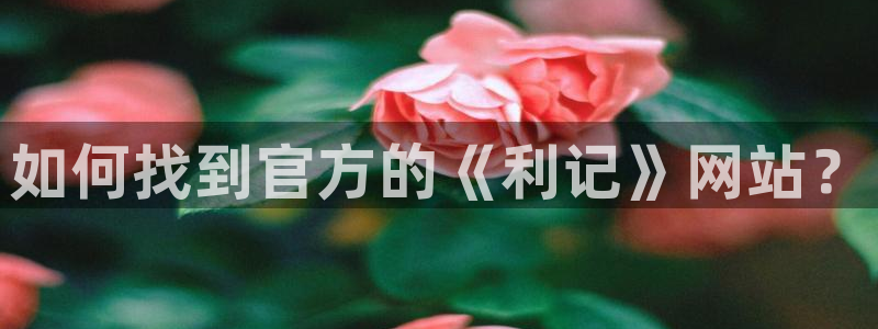 星耀国际哪个游戏好爆：如何找到官方的《利记》网站？