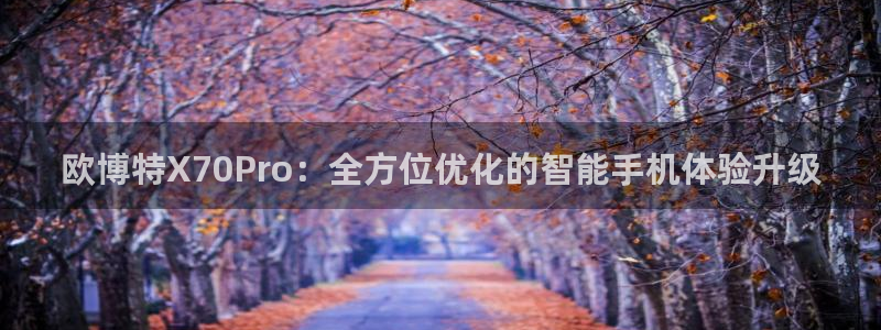 星耀国际分红代理计划：欧博特X70Pro：全方位优化的智能手机体验升级