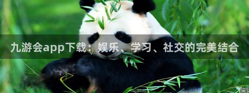 星耀国际在线下载：九游会app下载：娱乐、学习、社交的完美结合