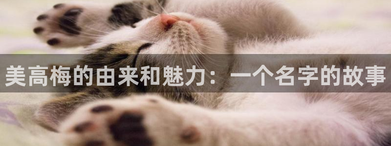 星耀国际.ccmpc正版官网版下载：美高梅的由来和魅力：一个名字的故事