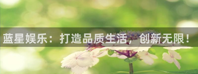 南宫星耀国际：蓝星娱乐：打造品质生活，创新无限！
