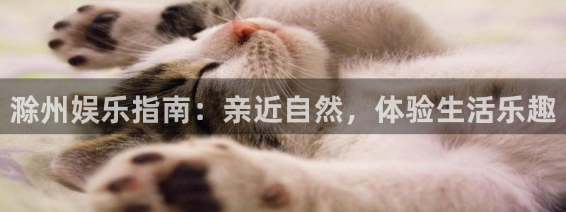 星耀国际app官网下载：滁州娱乐指南：亲近自然，体验生活乐趣