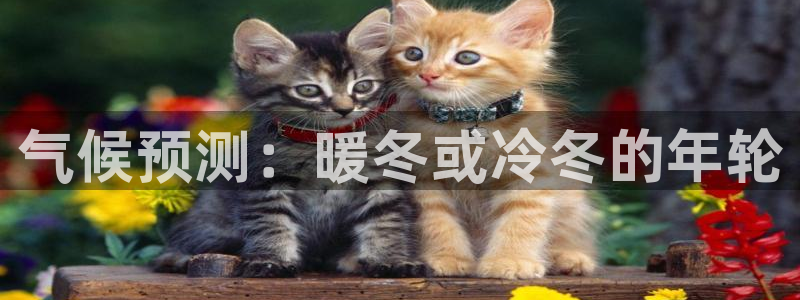 壹号玩家app下载：气候预测：暖冬或冷冬的年轮