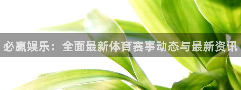 星耀国际有梦你就来：必赢娱乐：全面最新体育赛事动态与最新资讯