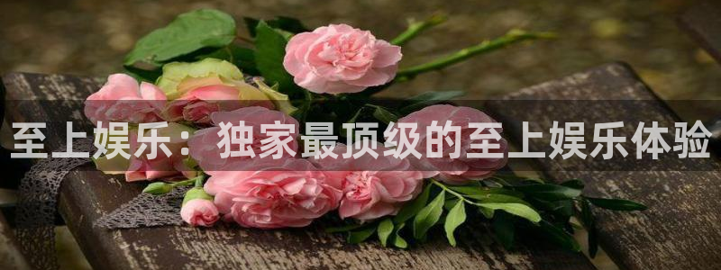 星耀国际的平台：至上娱乐：独家最顶级的至上娱乐体验