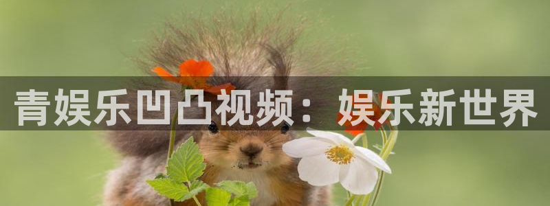 星耀国际app下载安装最新版：青娱乐凹凸视频：娱乐新世界