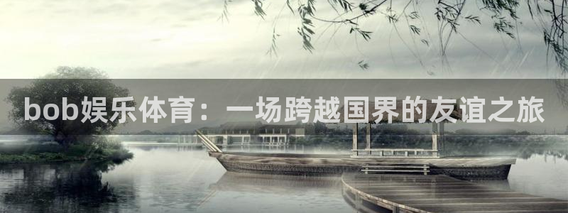 电子游戏星耀国际：bob娱乐体育：一场跨越国界的友谊之旅