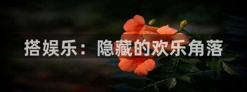 壹号电子娱乐app下载最新版：搭娱乐：隐藏的欢乐角落