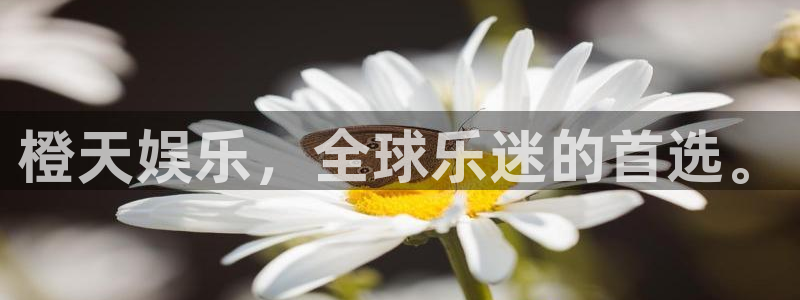 壹号app官网版下载：橙天娱乐，全球乐迷的首选。