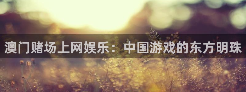 壹号电子娱乐app下载安装最新版本：澳门赌场上网娱乐：中国游戏的东方明珠