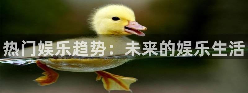 星耀国际.com：热门娱乐趋势：未来的娱乐生活