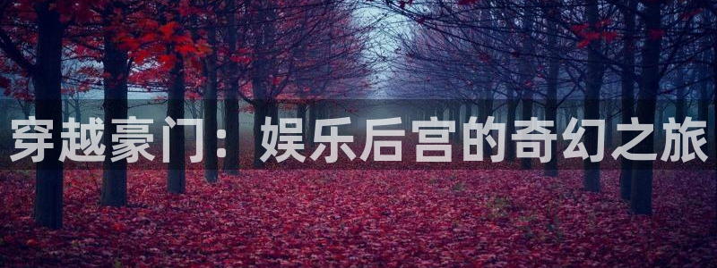 壹号app下载官网娱乐：穿越豪门：娱乐后宫的奇幻之旅