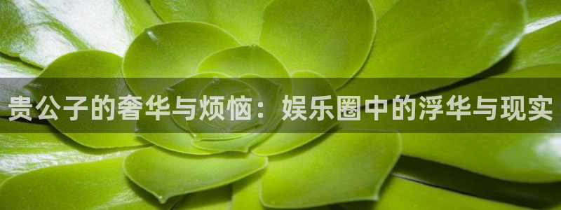 星耀国际下载二维码：贵公子的奢华与烦恼：娱乐圈中的浮华与现实