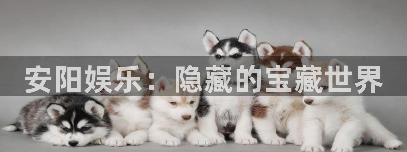 星耀国际科技赋能,让平台更有趣：安阳娱乐：隐藏的宝藏世界
