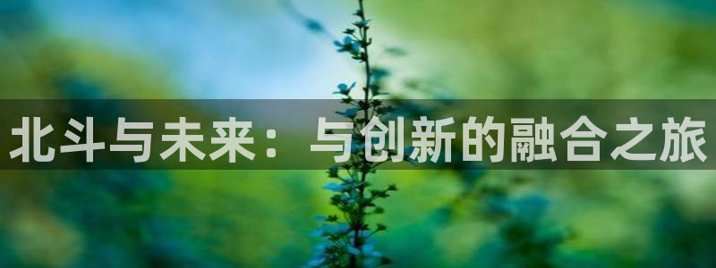 星耀国际,apk.1：北斗与未来：与创新的融合之旅