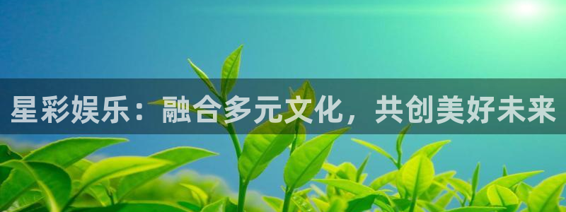 南宫星耀国际：星彩娱乐：融合多元文化，共创美好未来