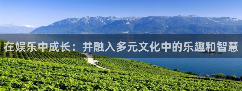 星耀国际平台官方入口：在娱乐中成长：并融入多元文化中的乐趣和智慧