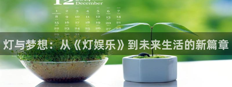 星耀国际网站：灯与梦想：从《灯娱乐》到未来生活的新篇章