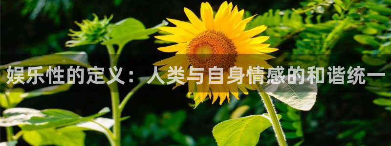 星耀国际是啥：娱乐性的定义：人类与自身情感的和谐统一