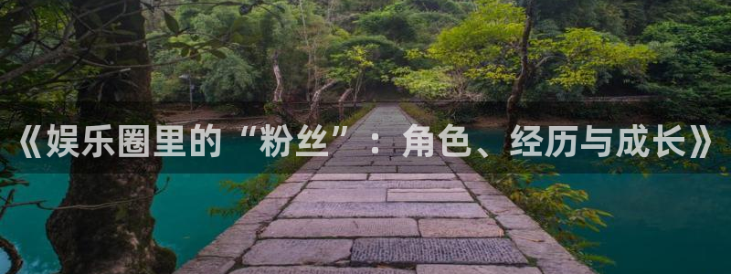 星耀国际网站登录流程：《娱乐圈里的“粉丝”：角色、经历与成长》