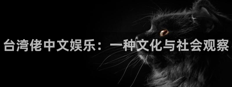 星耀国际app最新版怎么下载苹果：台湾佬中文娱乐：一种文化与社会观察
