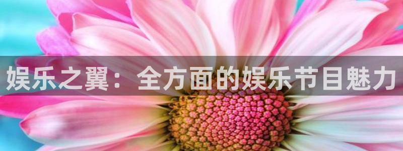 星耀国际pg电子游戏在线玩：娱乐之翼：全方面的娱乐节目魅力