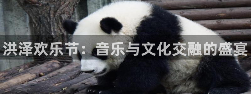 壹号电子娱乐app：洪泽欢乐节：音乐与文化交融的盛宴