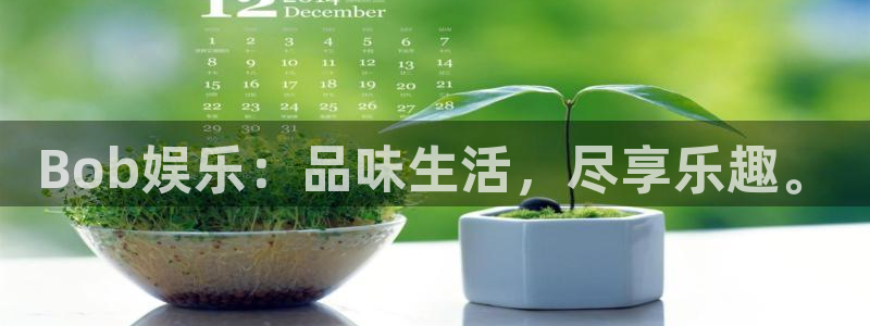 星耀国际app下载安装：Bob娱乐：品味生活，尽享乐趣。